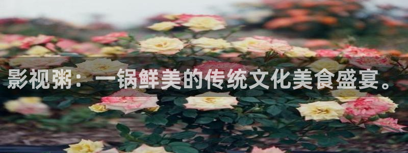 四虎最新视频在线观看