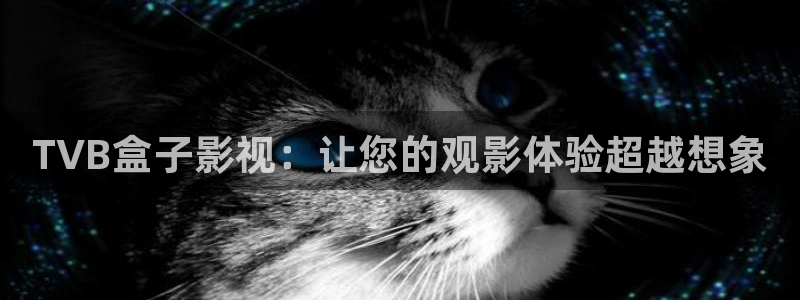 四虎影院4