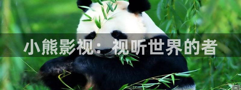 四虎成人午夜影院