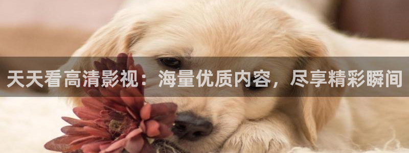 四虎影视4hu4虎成人